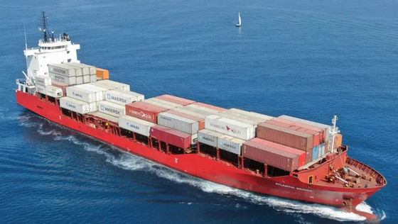 Oceaan Internationale Verschepende Vrachtvervoerder van China aan Afrika CIF