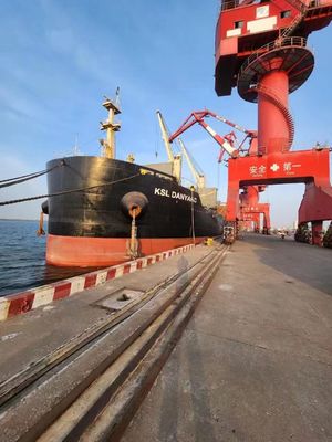 FOB- Internationale OceaanVrachtvervoerder Lianyungang Xingang aan Singapore