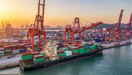 Goede prijs 20GP internationale OceaanVrachtvervoerder China aan de Zwarte Zee online