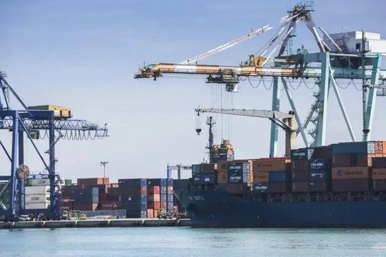 kwaliteit China aan Overzeese van Maleisië Internationale Oceaan Verschepende Vrachtvervoerder fabriek